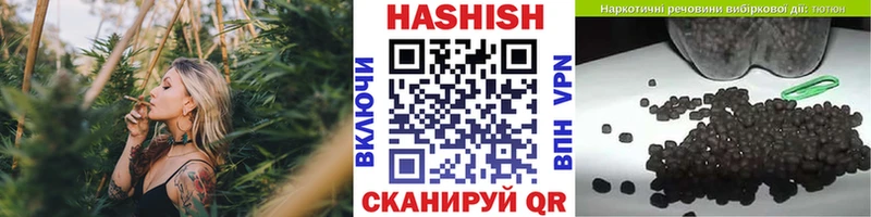 купить наркотик  mega как войти  ГАШ AMNESIA HAZE  Черняховск 