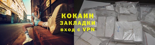 PSILOCYBIN Белокуриха
