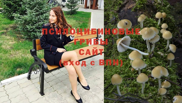 спиды Беломорск