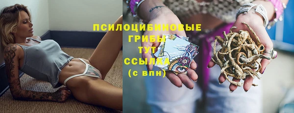 спиды Беломорск