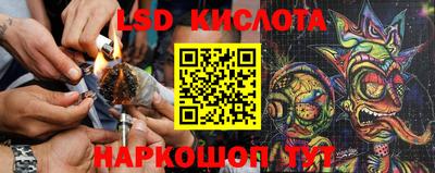 ПСИЛОЦИБИНОВЫЕ ГРИБЫ Рязань