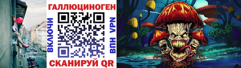 Галлюциногенные грибы прущие грибы  Черняховск 